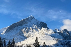 7cc9668d-a931-4311-9c95-1b651df0a6f6